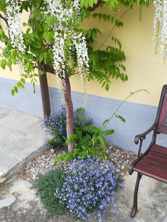 בית הארחה אלבה 	La Casa Dei Masue' מראה חיצוני תמונה