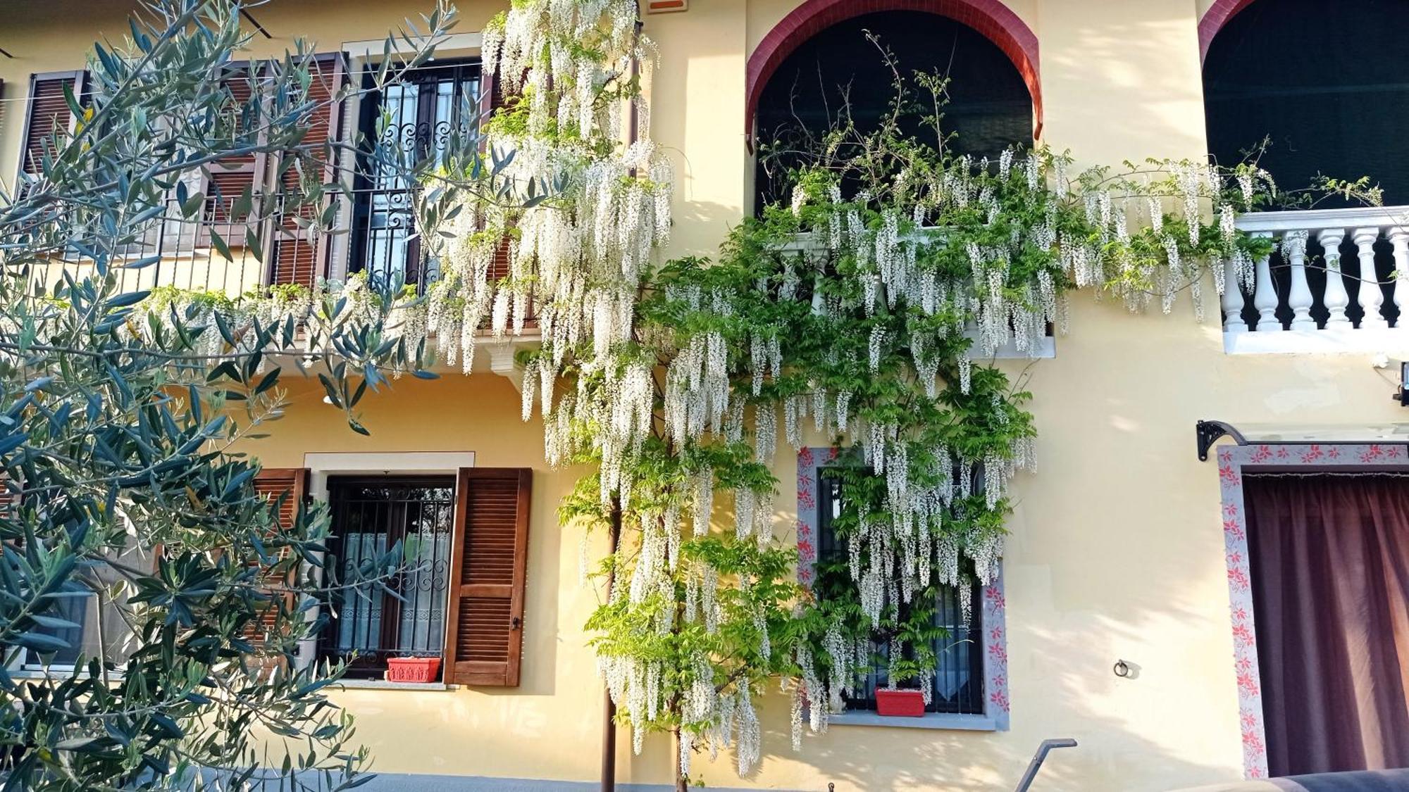 בית הארחה אלבה 	La Casa Dei Masue' מראה חיצוני תמונה